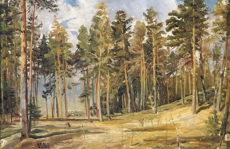 Pins. Giornata soleggiata - Ivan Chichkine