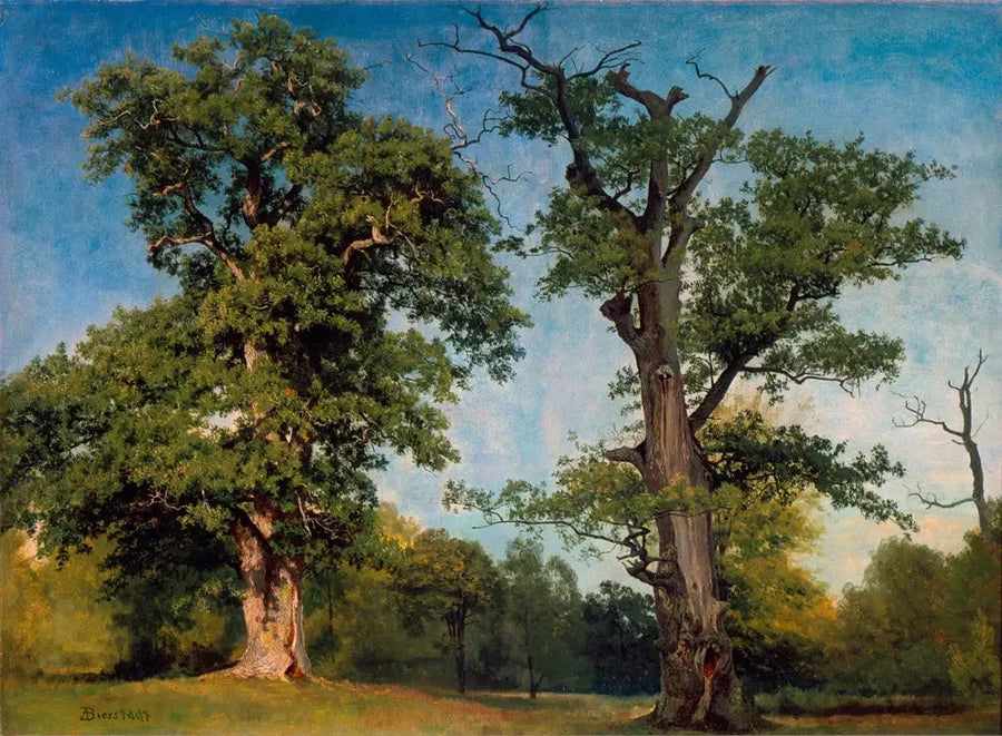 Pionniers des bois, California - Albert Bierstadt