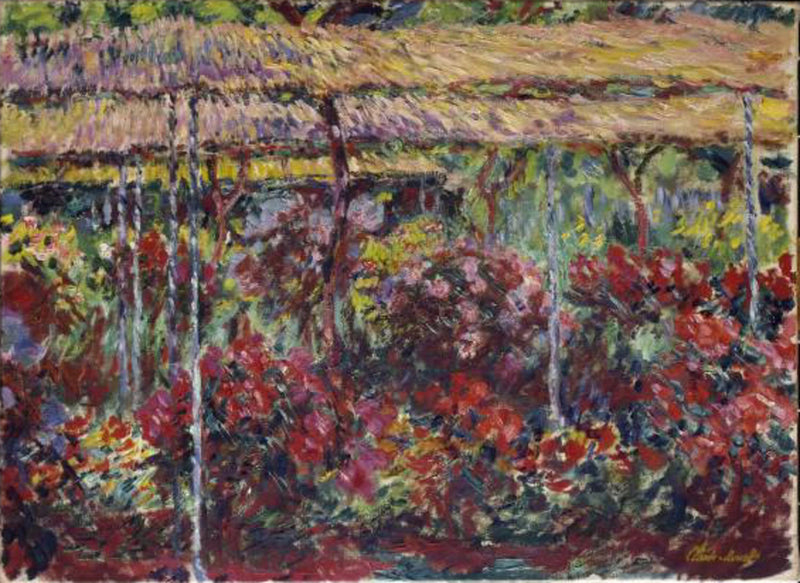 Peonie W1141 - Claude Monet