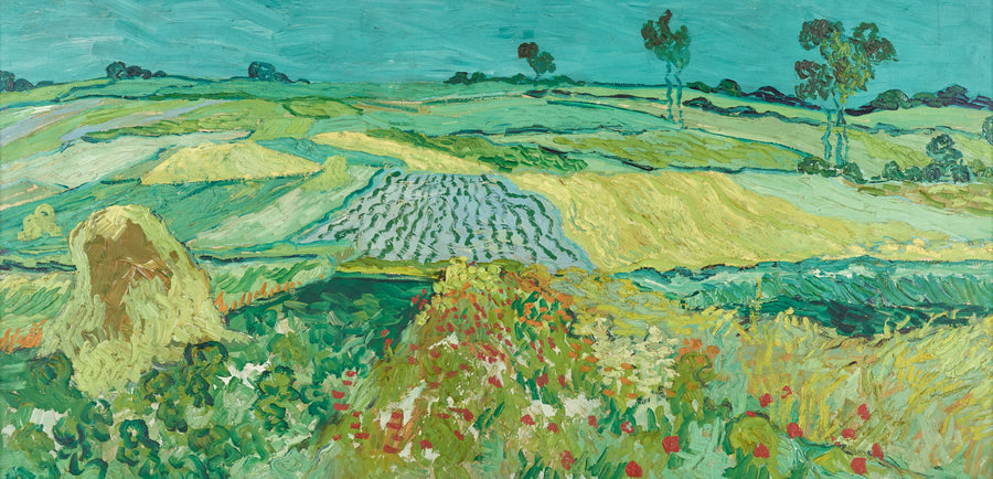 La pianura di Auvers - Vincent van Gogh