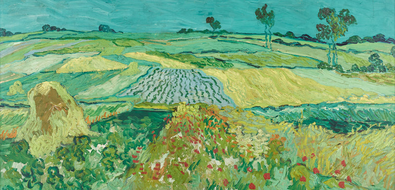 La pianura di Auvers - Vincent van Gogh