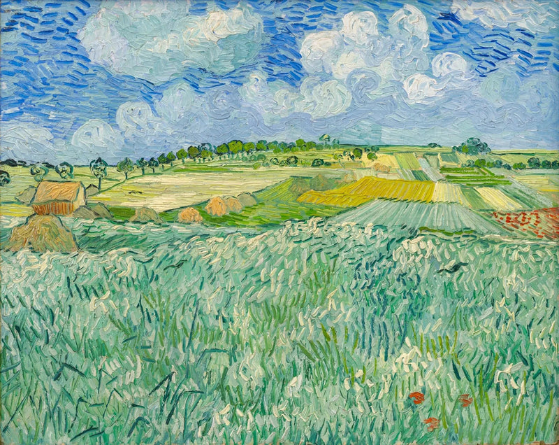 Pianura vicino ad Auvers - Vincent van Gogh