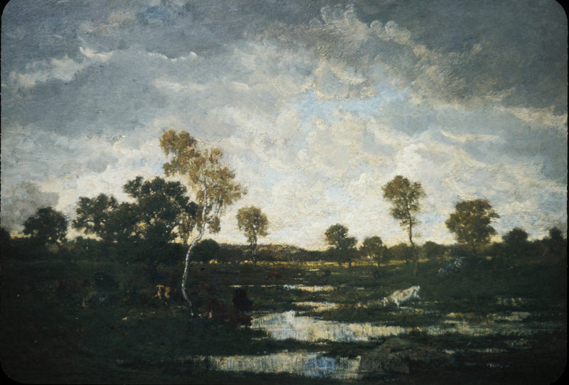 Chailly Plain – Théodore Rousseau