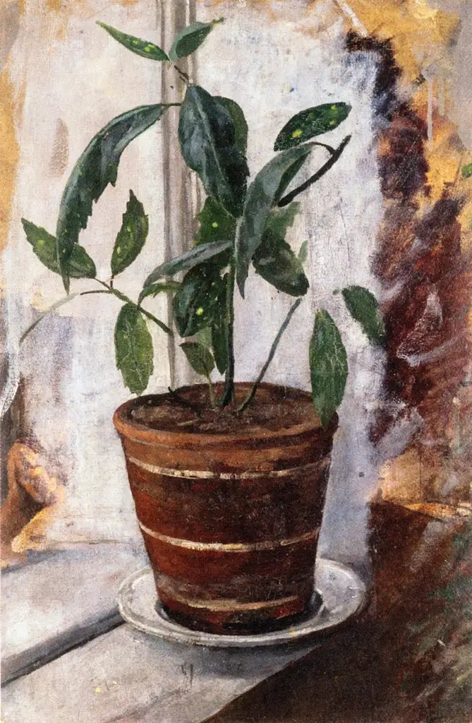 Pianta in vaso sul davanzale della finestra - Edvard Munch