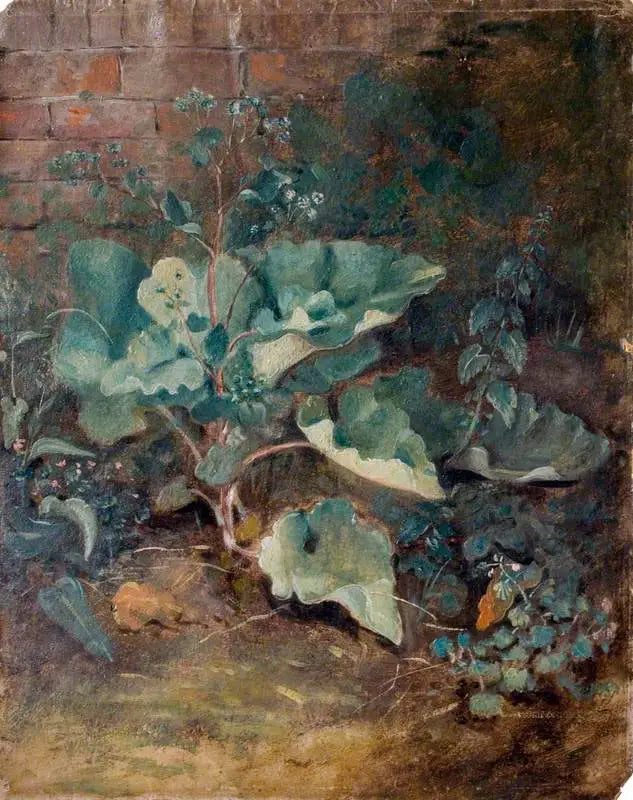 Piante che crescono vicino a un muro - John Constable