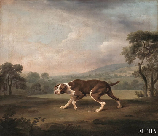 Pointeur espagnol - George Stubbs - Reproductions de tableaux et peintures haut de gamme