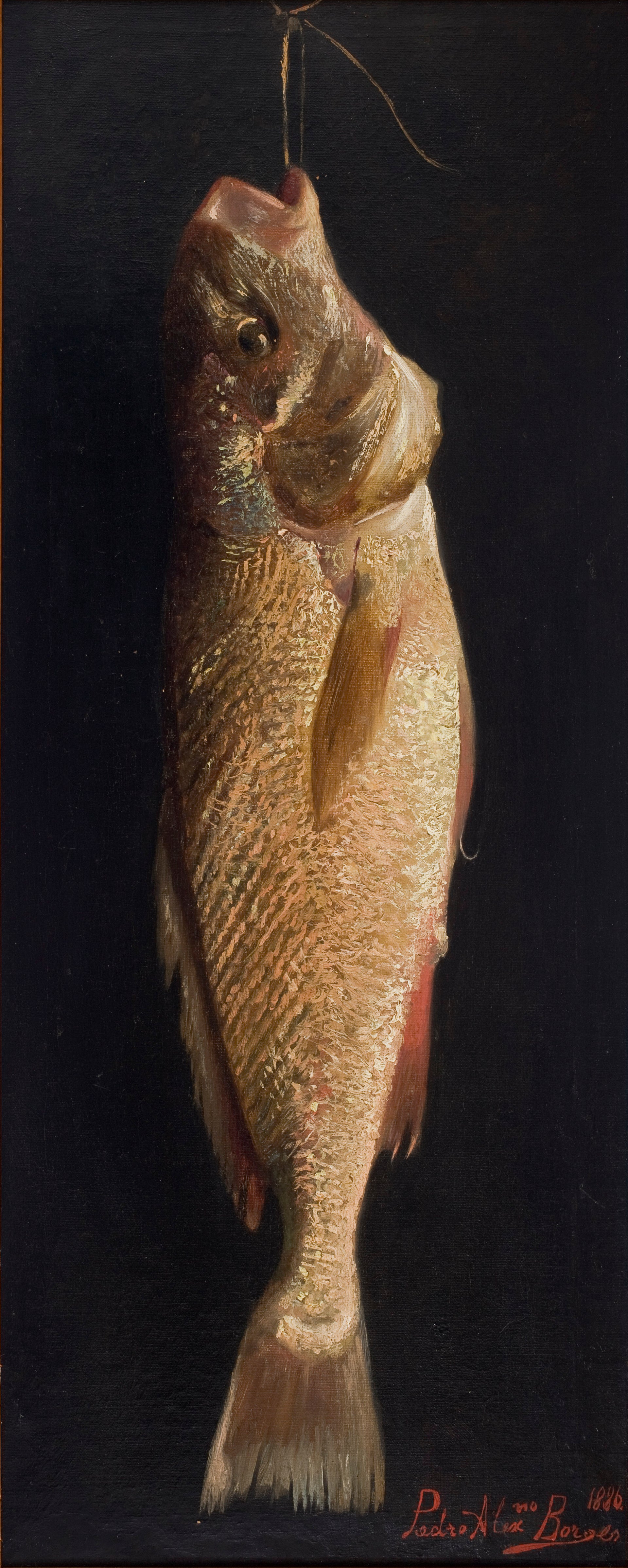 Poisson image 1 reproduction peinte à la main