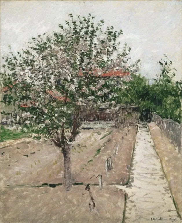 Mela in fiore - Gustave Caillebotte