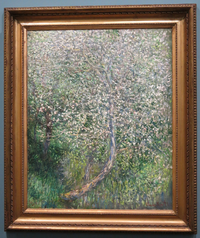 Melo in fiore sull'acqua W585 - Claude Monet