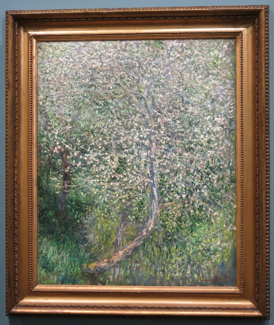 Melo in fiore sull'acqua W585 - Claude Monet