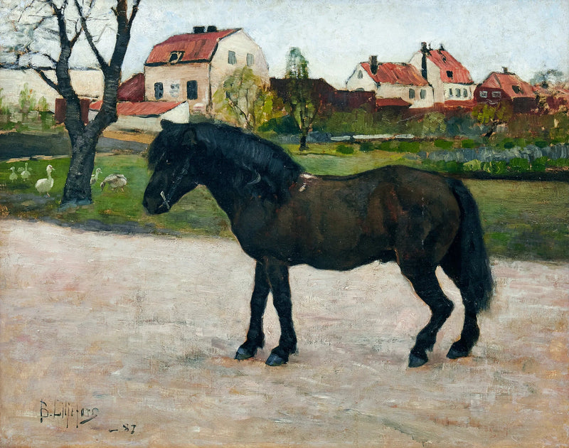 Pony nero - Bruno Liljefors