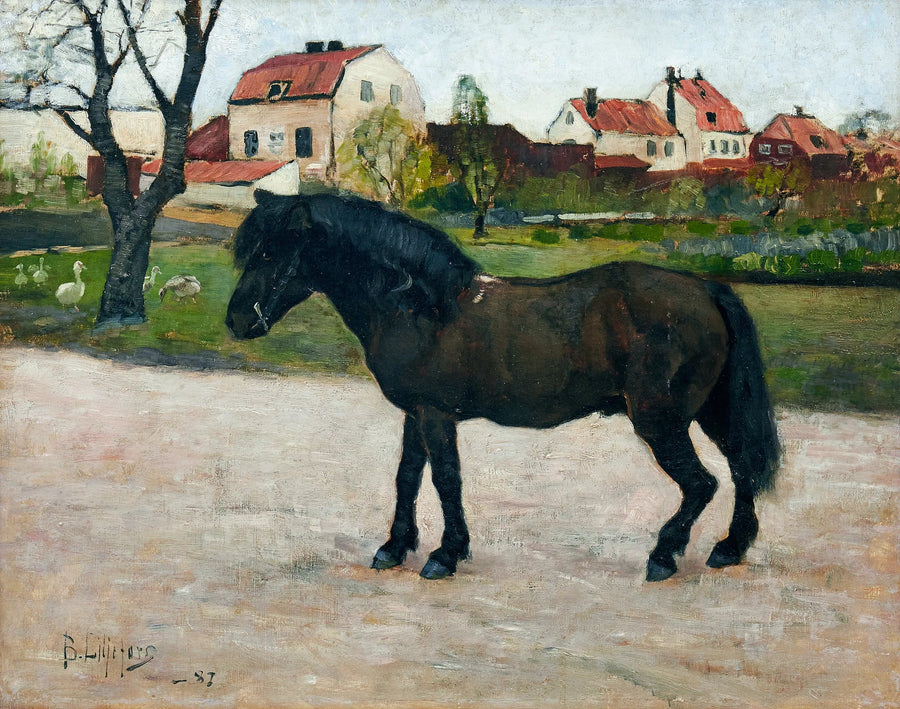 Pony nero - Bruno Liljefors
