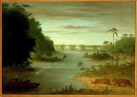 Pont de Palmiers e Tir au Tigre - George Catlin