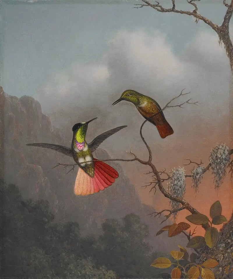 Portatore di visiera con cappuccio - Martin Johnson Heade