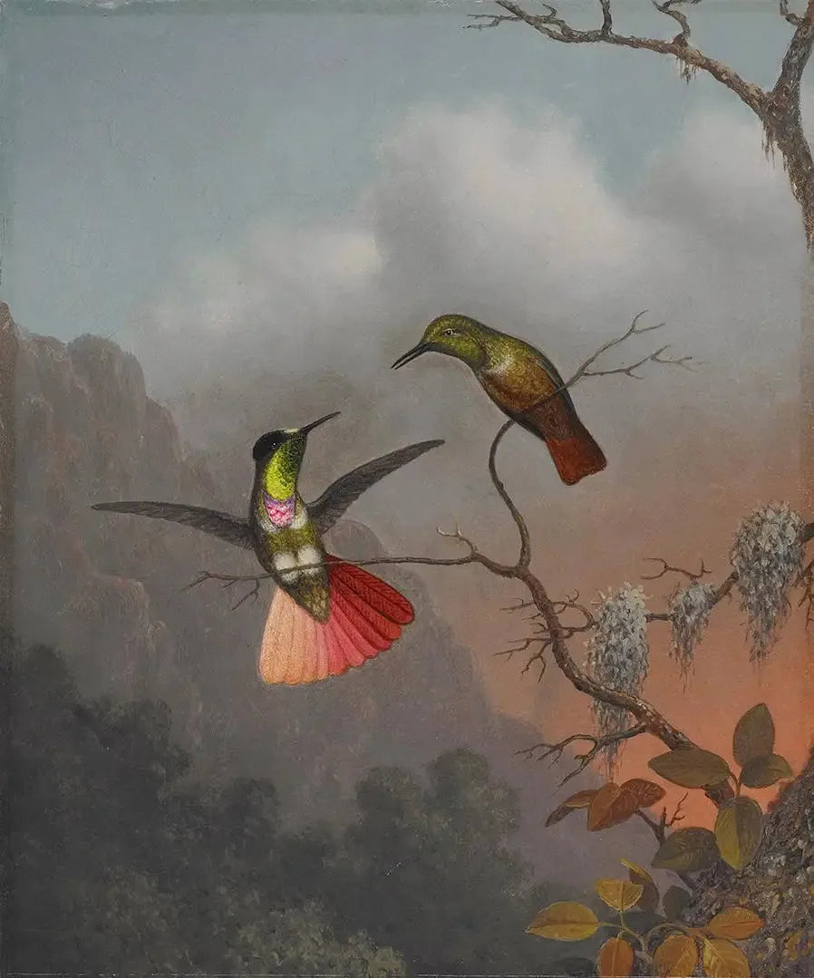 Portatore di visiera con cappuccio - Martin Johnson Heade