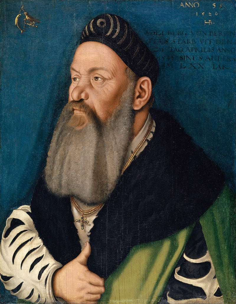 Ritratto di Adelberg III. de Bärenfels - Hans Baldung Grien