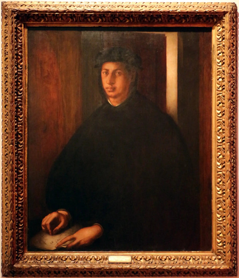 Ritratto di Alessandro de' Medici - Pontormo