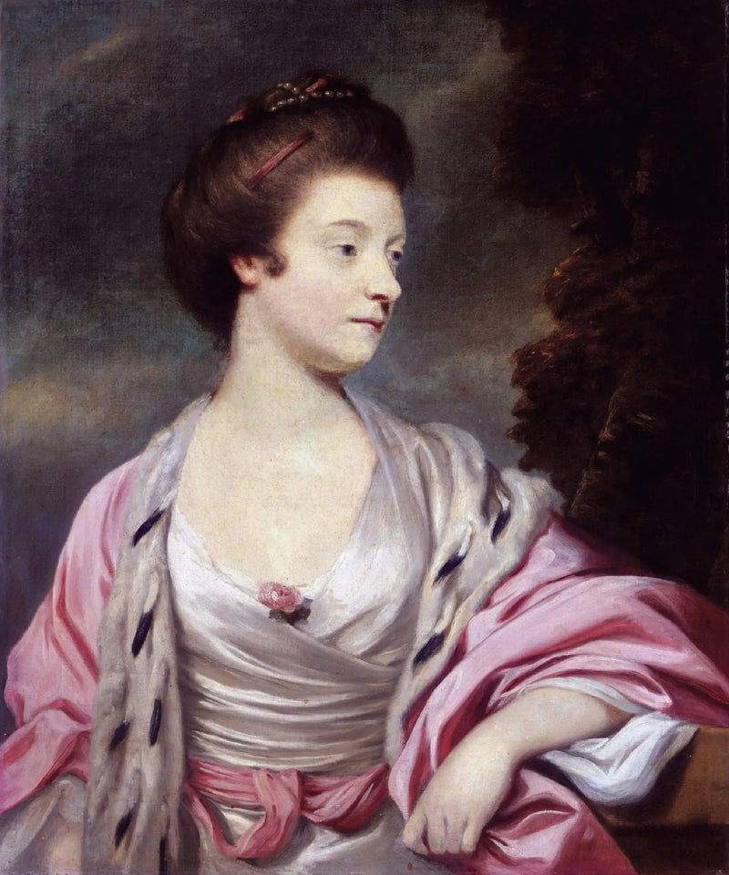 Ritratto di Elizabeth, Lady Amherst (1740-1830) (nata Elizabeth Cary) - Joshua Reynolds
