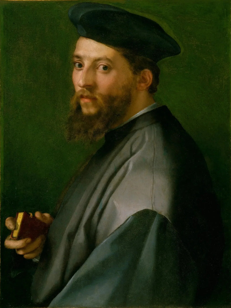 Ritratto di uomo - Andrea del Sarto