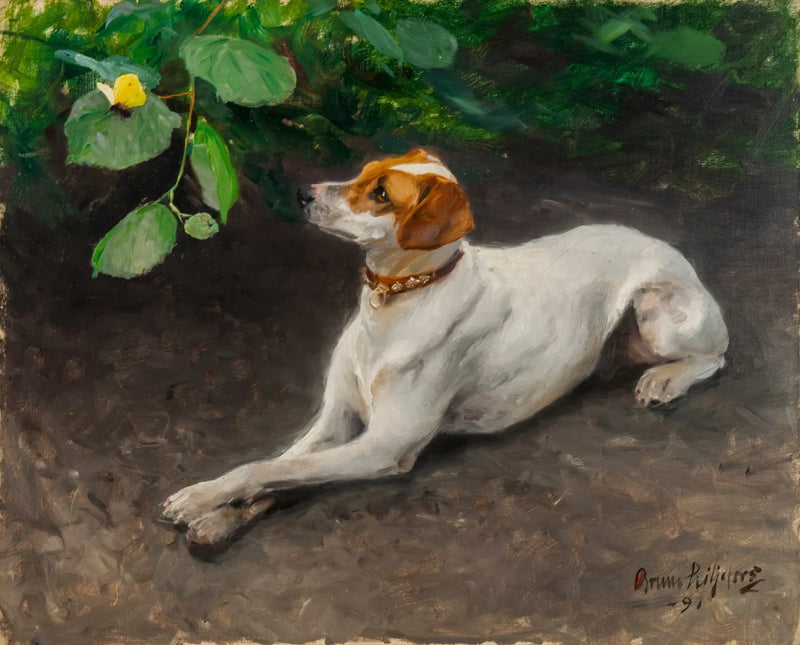 Ritratto di un cane - Bruno Liljefors