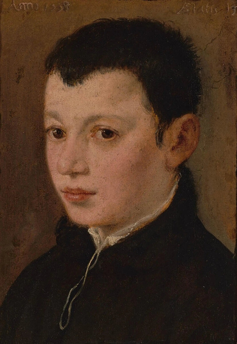 Ritratto di un ragazzo - Paul Véronèse