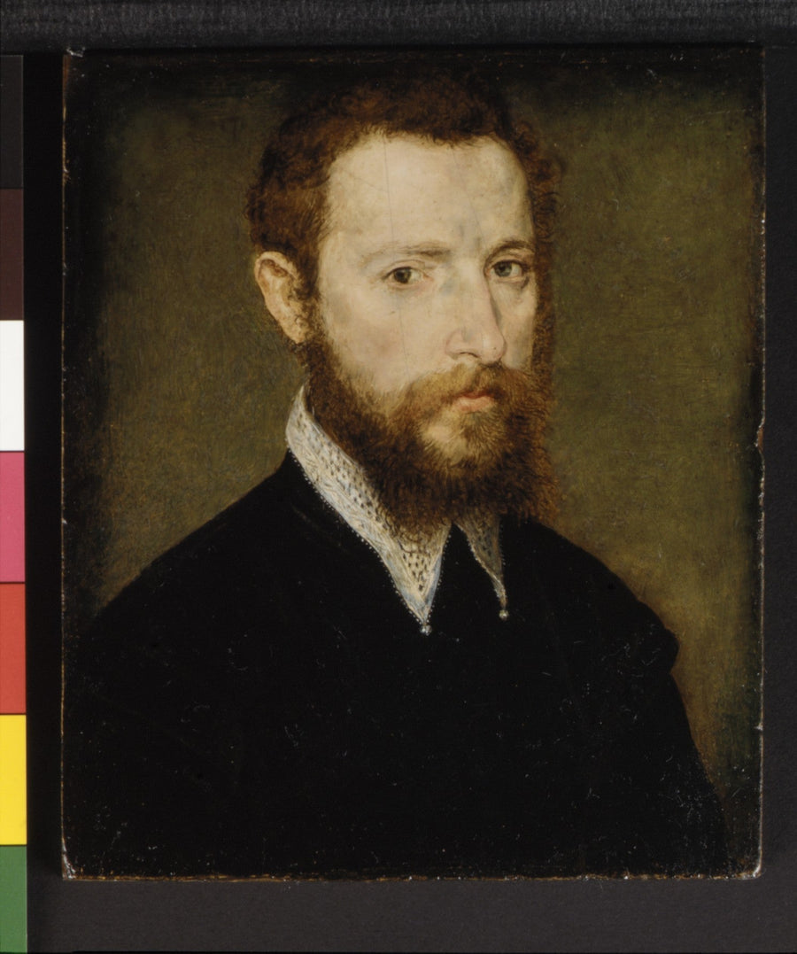 Portrait d'un homme au col pointu - Corneille de Lyon