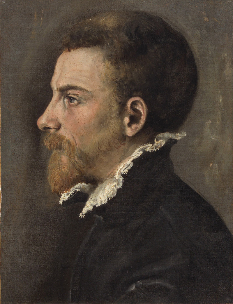 Ritratto di un uomo barbuto di profilo - Annibale Carracci