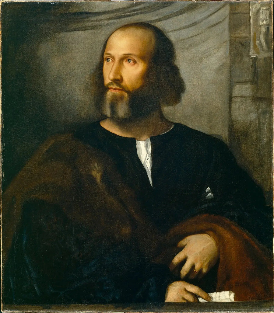 Ritratto di un uomo barbuto - Titian