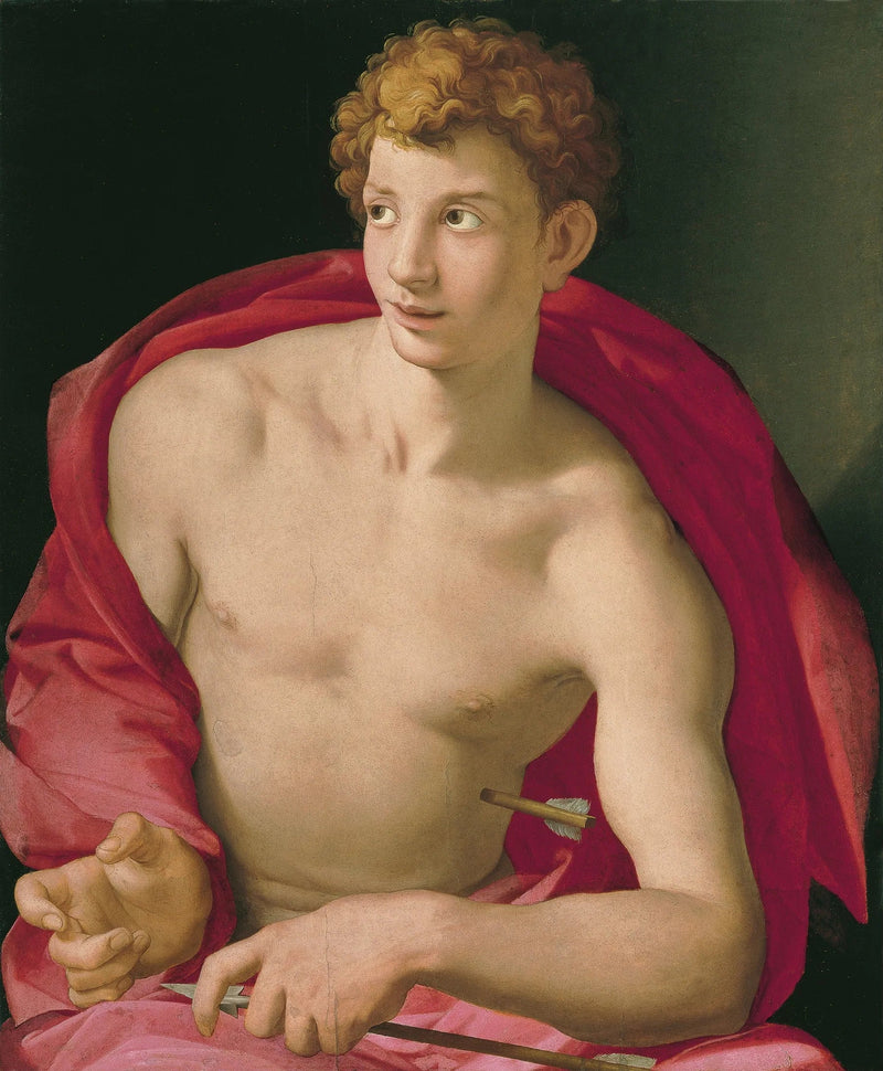 Ritratto di un giovane a San Sebastián - Bronzino
