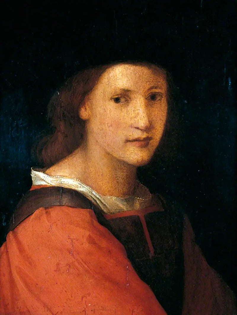 Ritratto di un giovane - Andrea del Sarto