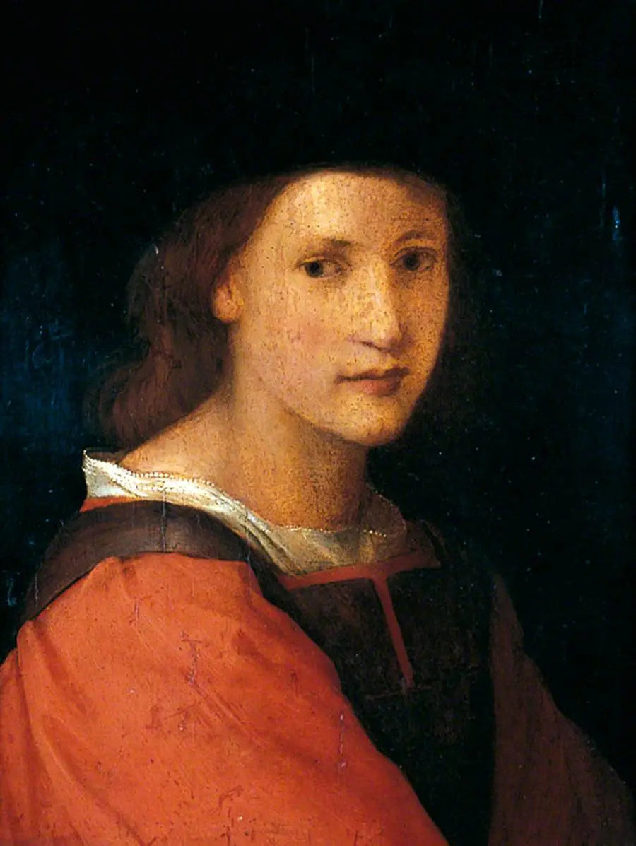 Ritratto di un giovane - Andrea del Sarto