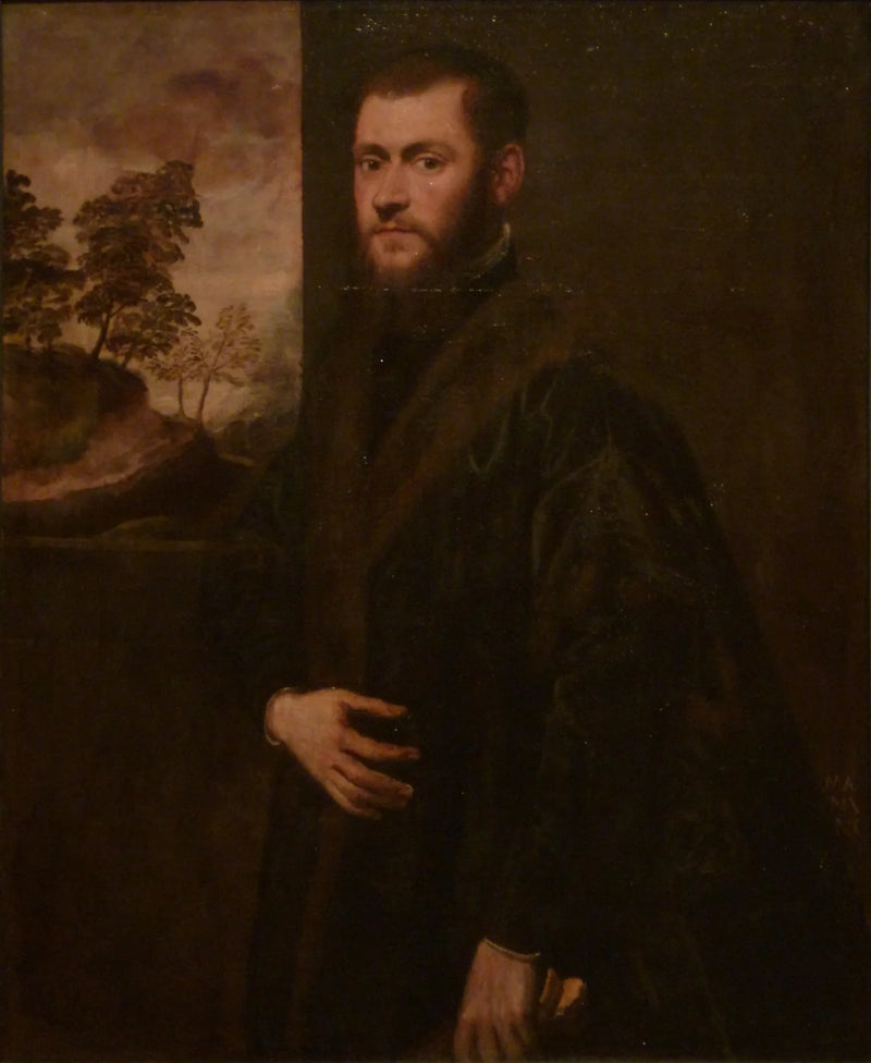 Ritratto di un giovane gentiluomo - Jacopo Tintoretto