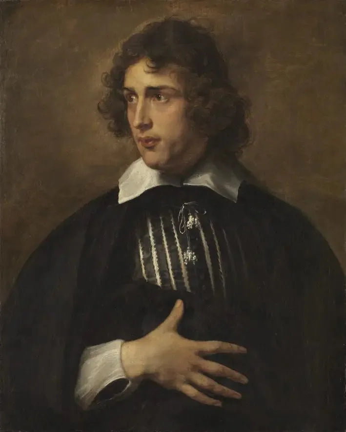 Ritratto di un giovane uomo - Antoine van Dyck