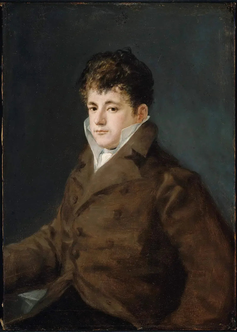 Ritratto di un giovane uomo in marrone, forse Javier Goya - Francisco de Goya