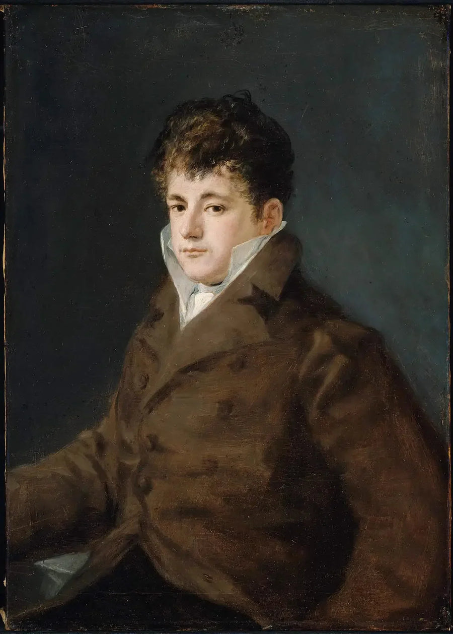 Ritratto di un giovane uomo in marrone, forse Javier Goya - Francisco de Goya