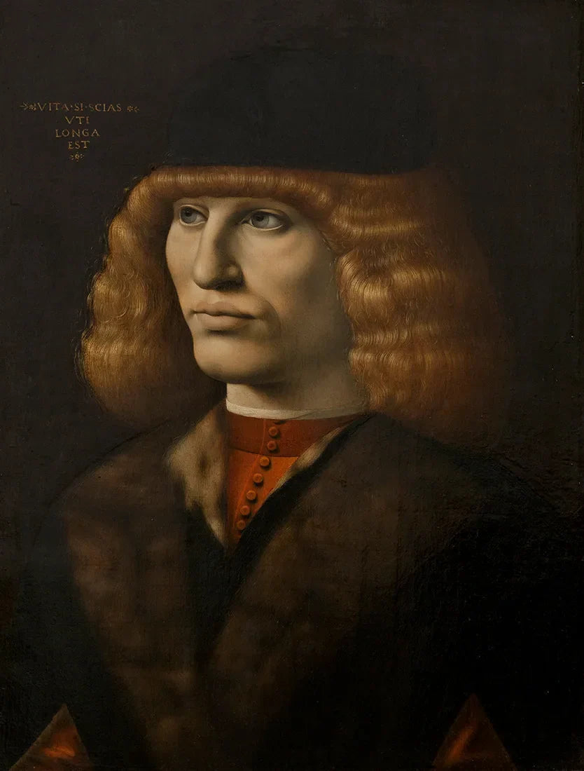 Portrait d'un jeune homme - Giovanni Antonio Boltraffio image 1 copie de tableau peinte à la main