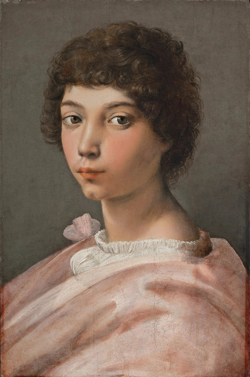 Ritratto di un giovane uomo - Raffaello Sanzio