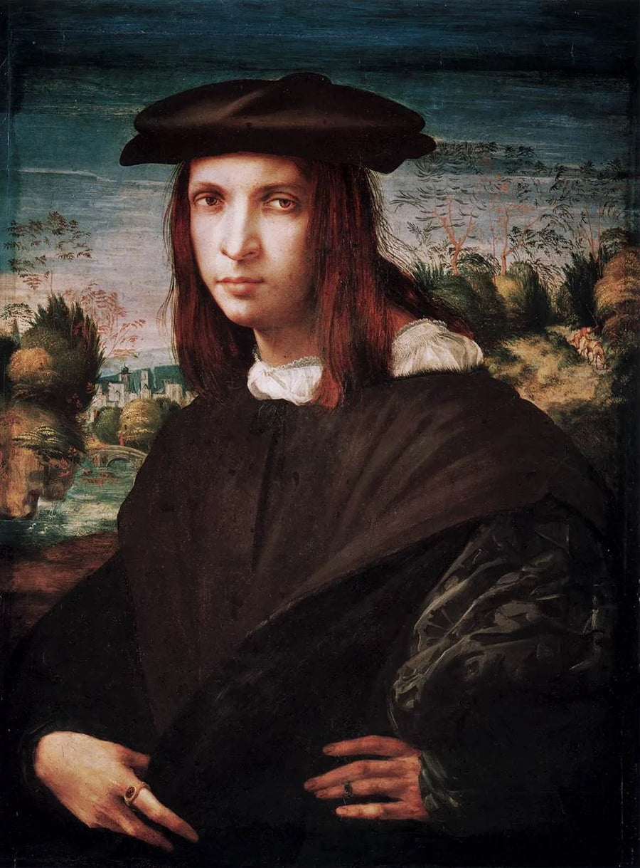 Ritratto di un giovane uomo - Rosso Fiorentino