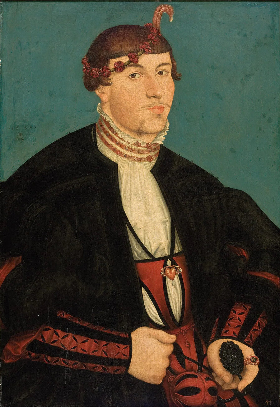 Ritratto di un giovane nobile della famiglia Rava - Lucas Cranach il Vecchio