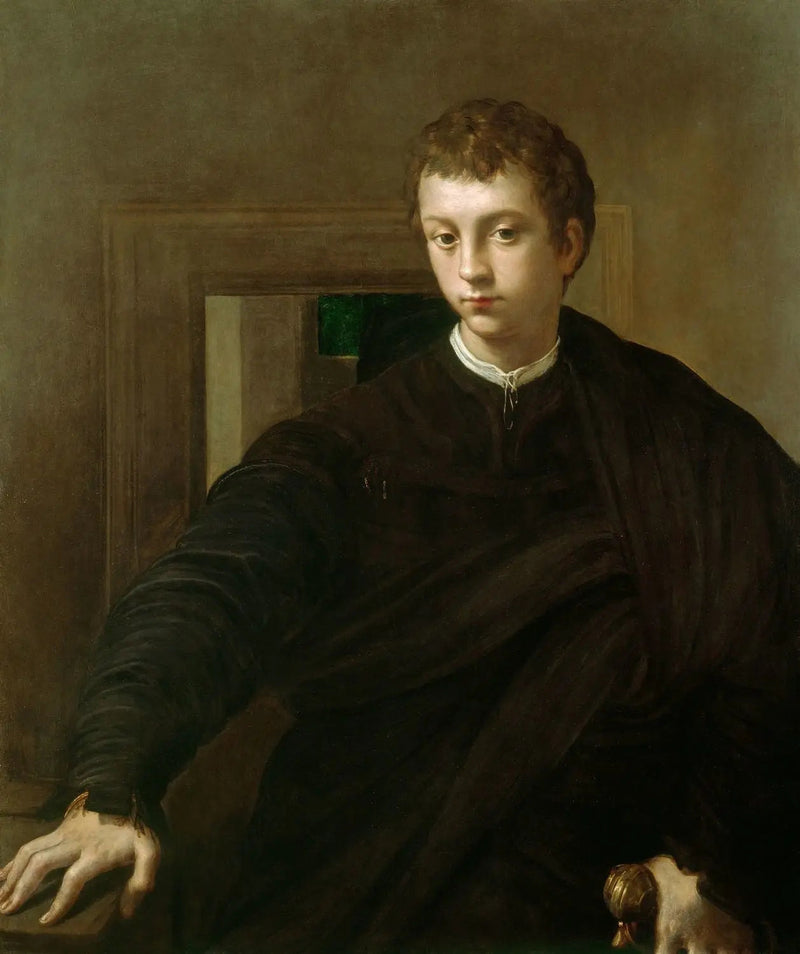 Ritratto di un giovane nobile - Parmigianino