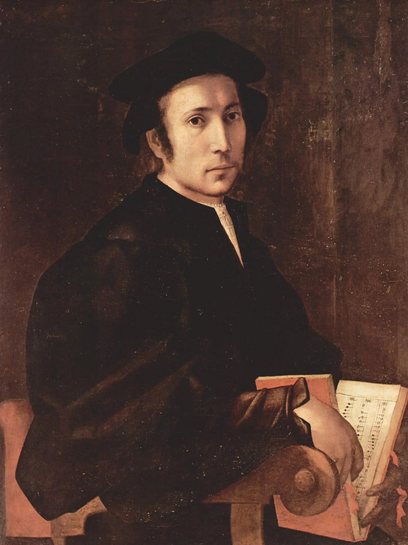 Ritratto di un musicista - Pontormo