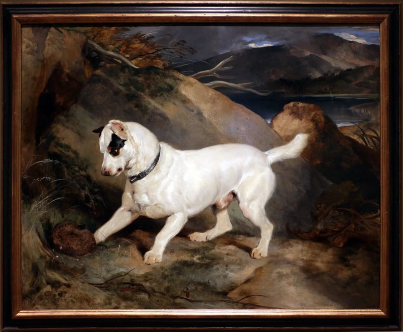 Ritratto di un terrier, proprietà di Owen Williams, ESQ., deputato (Jocko con un riccio) - Edwin Henry Landseer