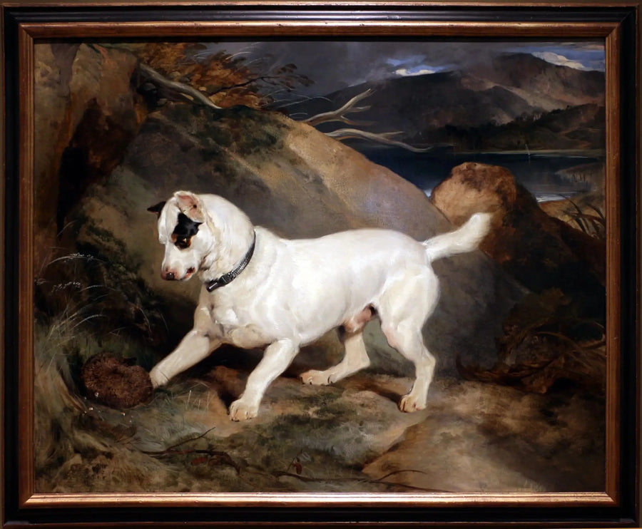 Ritratto di un terrier, proprietà di Owen Williams, ESQ., deputato (Jocko con un riccio) - Edwin Henry Landseer