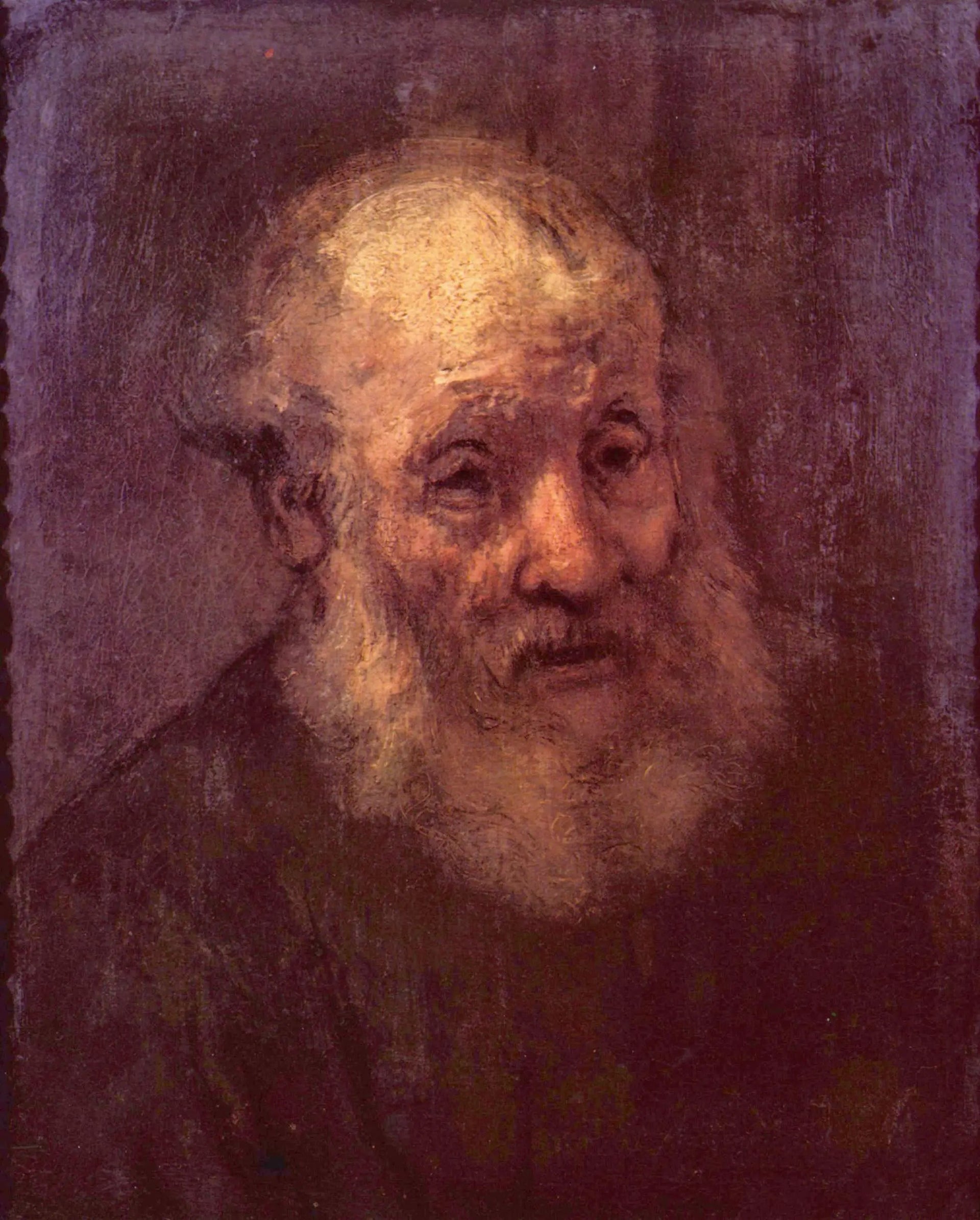Portrait d'un vieil homme barbu - Rembrandt image 1 reproduction réalisée par Alpha Reproduction
