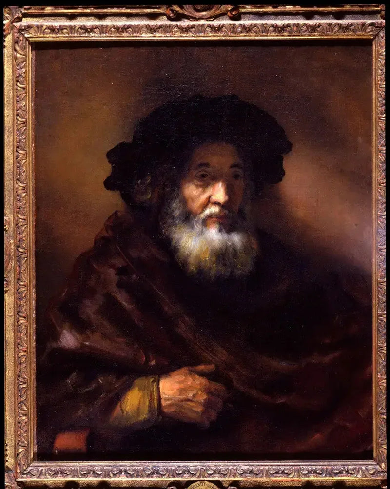 Ritratto di un vecchio uomo con mantello - Rembrandt