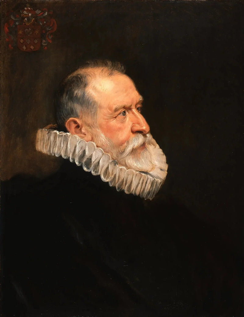 Ritratto di un vecchio uomo - Peter Paul Rubens