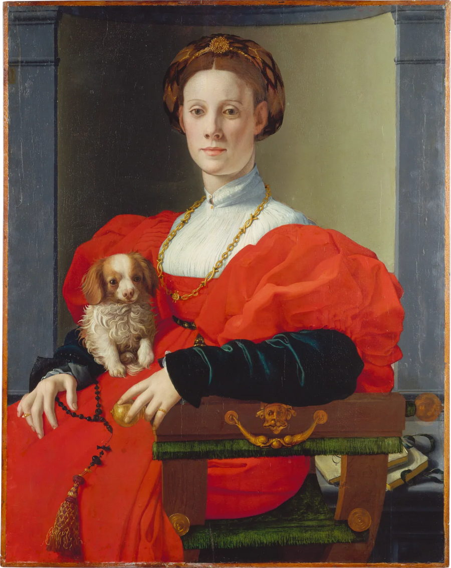 Ritratto di una dama con un cane da compagnia - Bronzino