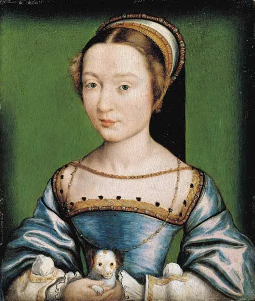 Portrait d'une dame tenant un chiot - Corneille de Lyon