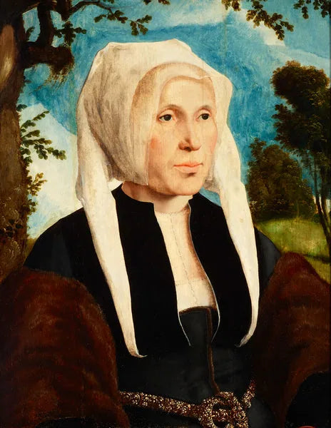 Portrait d'une femme - Maarten van Heemskerck