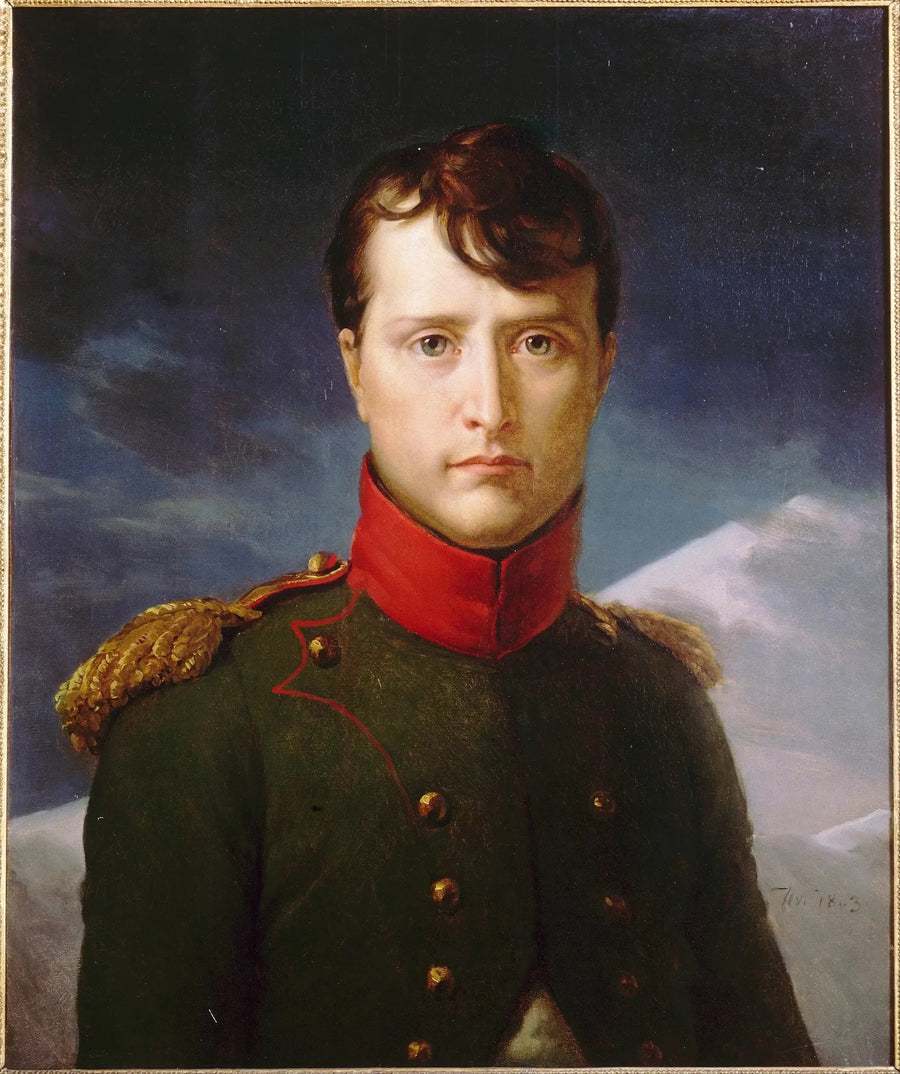 Ritratto di Bonaparte, Primo Console - François Gérard